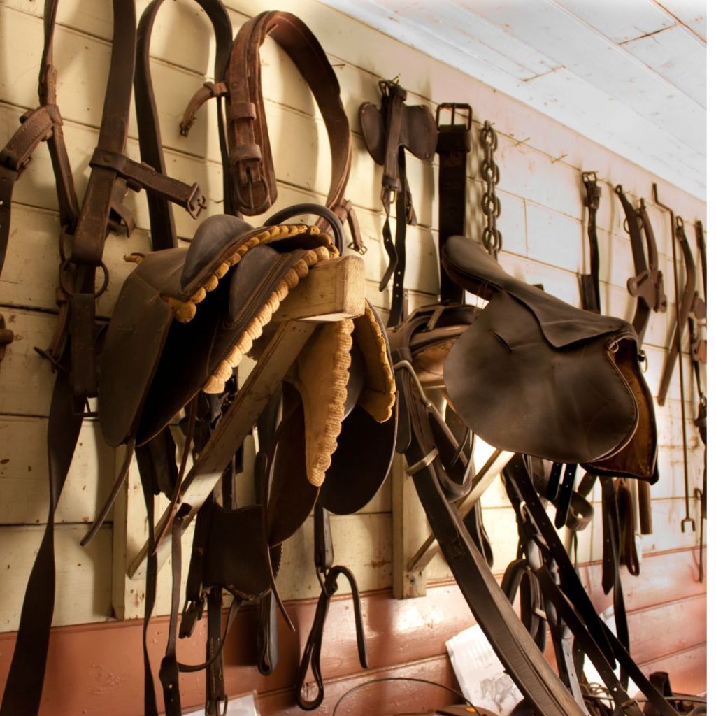The Ultimate Guide to Cleaning and Caring for Your Horseback Riding&nbsp;Equipment