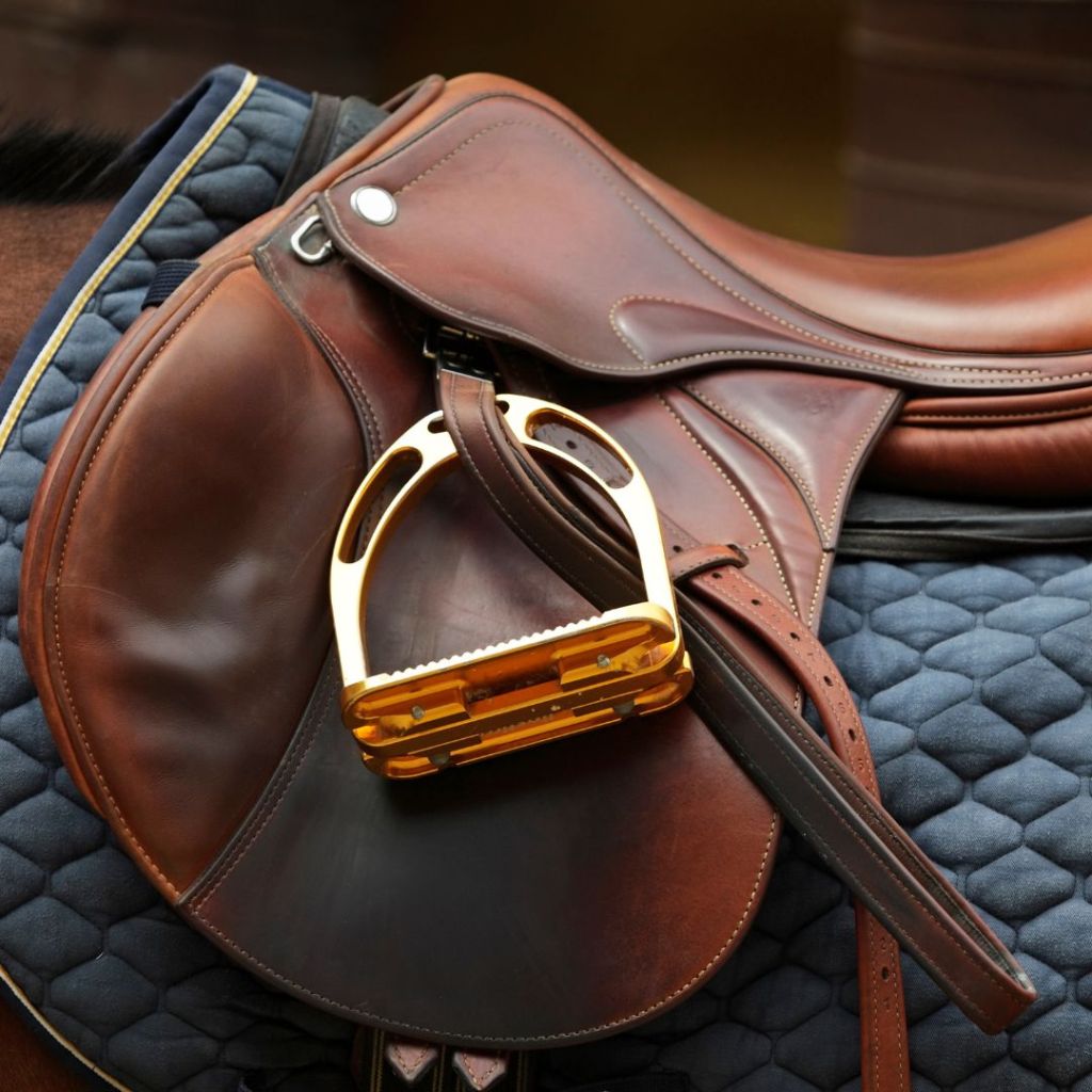 How To Choose The Right Saddle For Your&nbsp;Horse