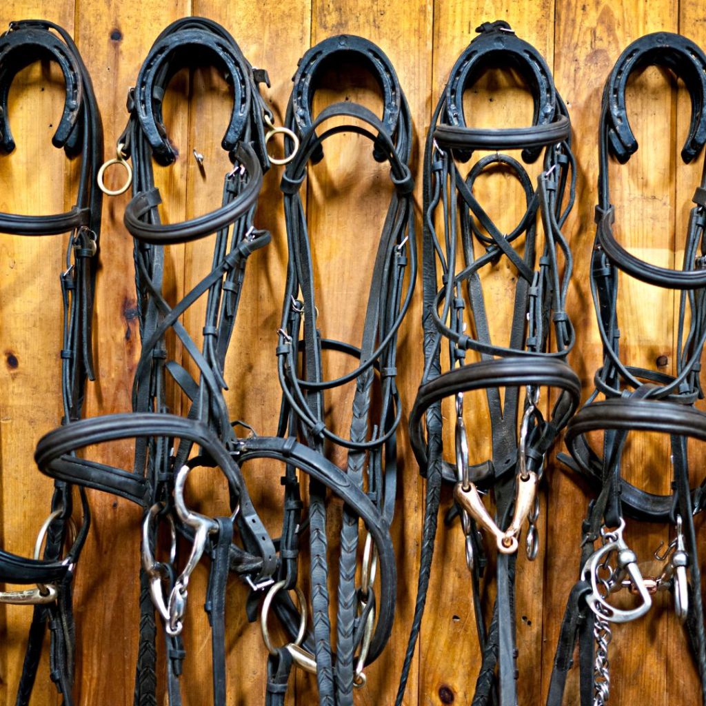 Demystifying Horse Bits: A Guide to Different Types for Every&nbsp;Rider