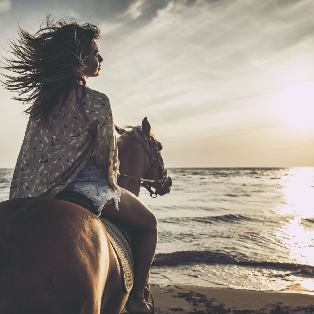 10 Essential Summer Horseback Riding Tips for a Safe and Enjoyable&nbsp;Ride
