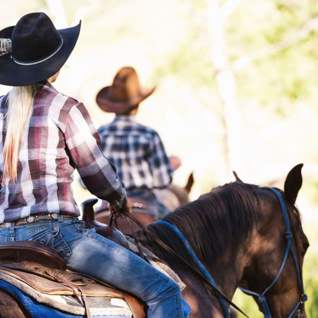 Trail Riding: A Comprehensive Guide to Embracing Nature on&nbsp;Horseback